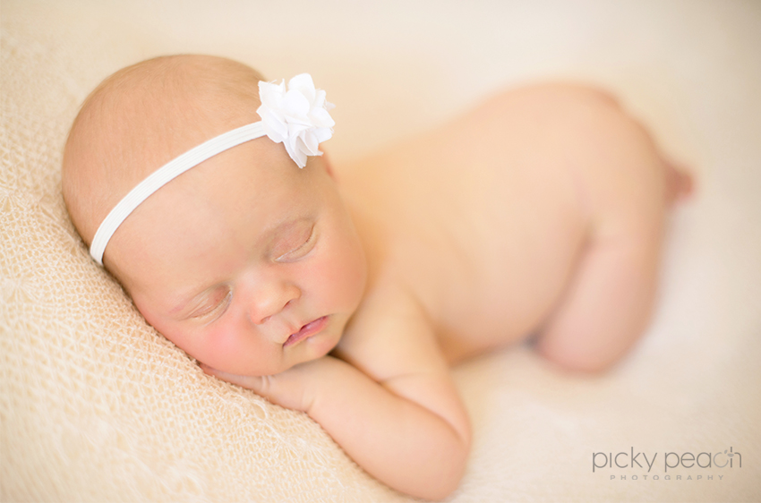 Bentley | Golden Newborn Photographer