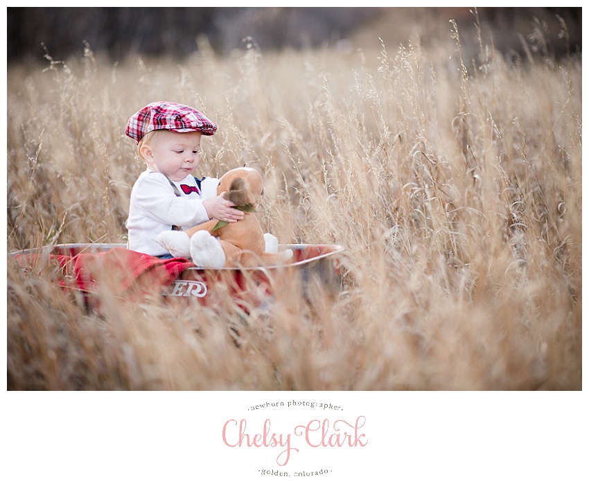 Denver Baby Photographer Red Wagon and Puppy